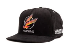HWV Speed Eagle Hat